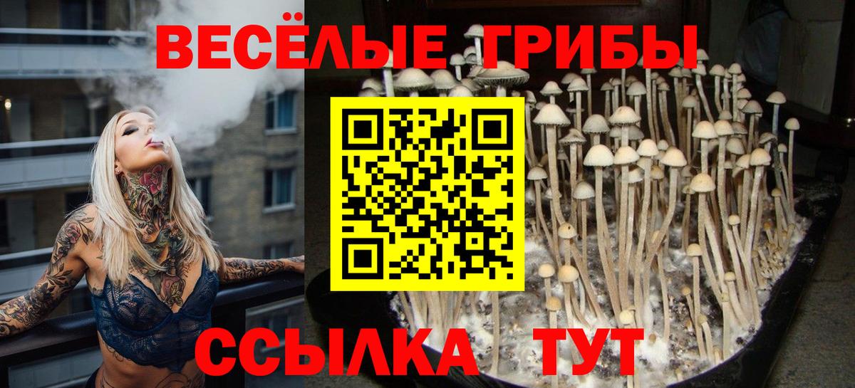 Галлюциногенные грибы Magic Shrooms Полевской