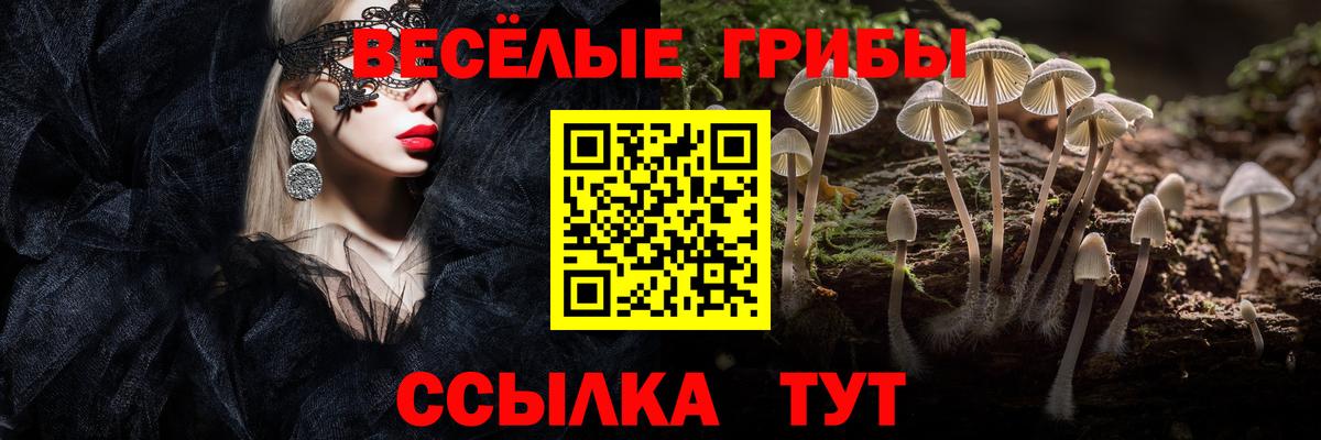 наркота  Псилоцибиновые грибы ЛСД  Вход с VPN  Полевской 